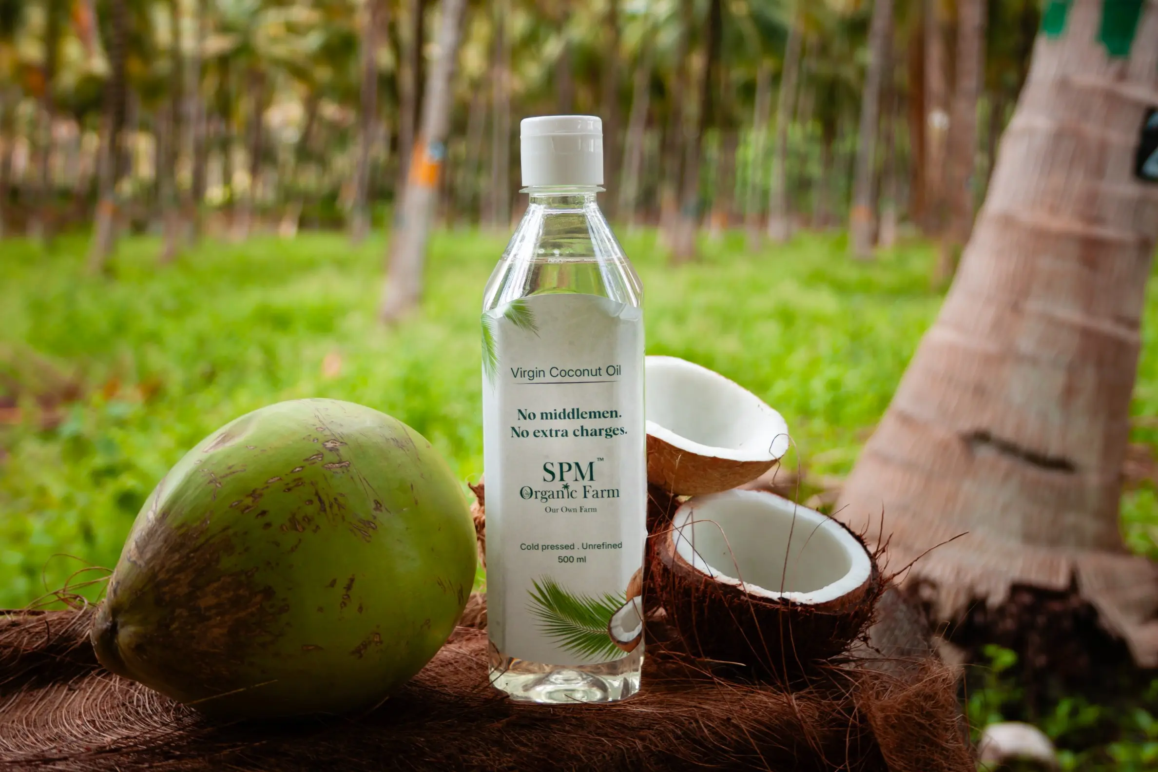 Freshly extracted coconut oil