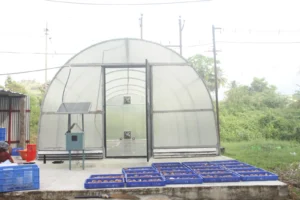 hygienic solar dryer